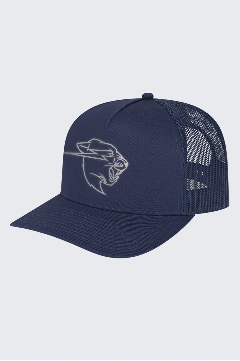 Reflective Panther Hat